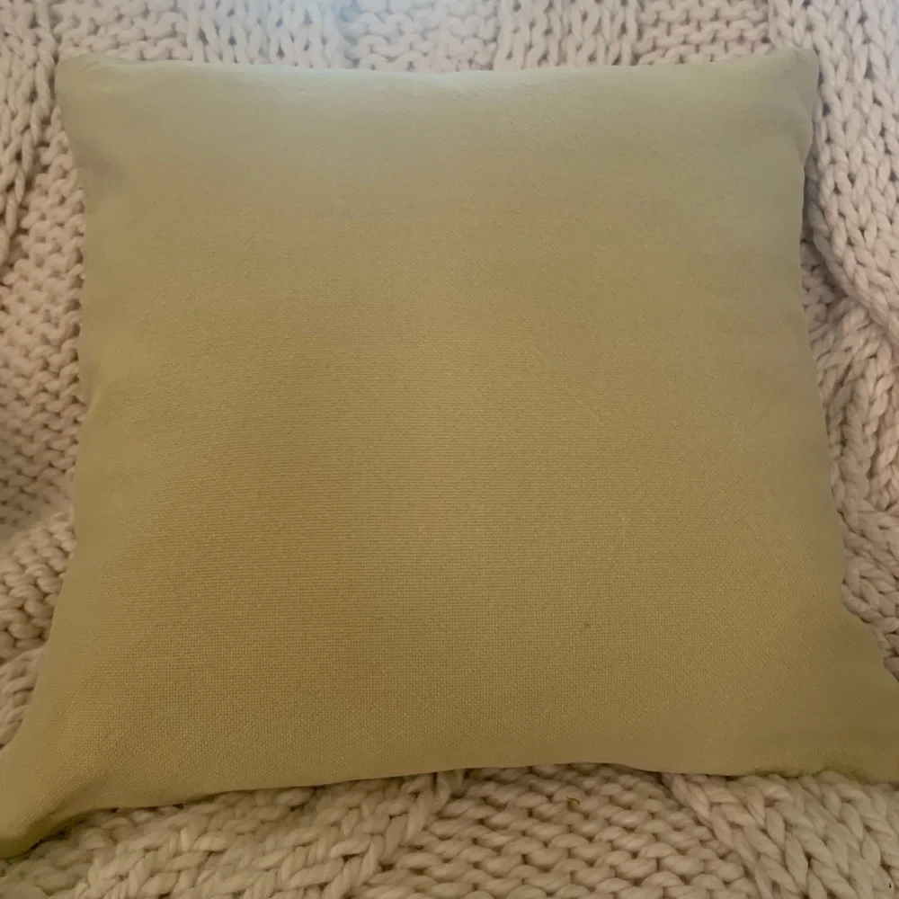 Pottery Barn Light Green Pillow Covers 18” Inserts not included